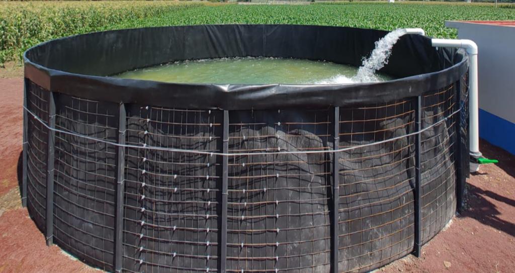 2. ESTANQUE DE GEOMEMBRANA 4 M DE DIAMETRO X 1.2 M DE ALTO, VOLUMEN 15.08, VOLUMEN DE OPERACIÓN 13.19, SALIDA DE 2", INCLUYE ELECTROMALLA, NUDOS DE 1/4, FUNDA HDPE 1MM DE ESPESOR NOMINAL, REMACHES, POSTES GALVANIZADOS CALIBRE 18, CABLES DE 1/8 A 1/4 DE GROSOR