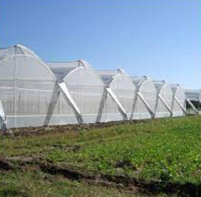DISEÑO Y CONSTRUCCIÓN DE INVERNADEROS.