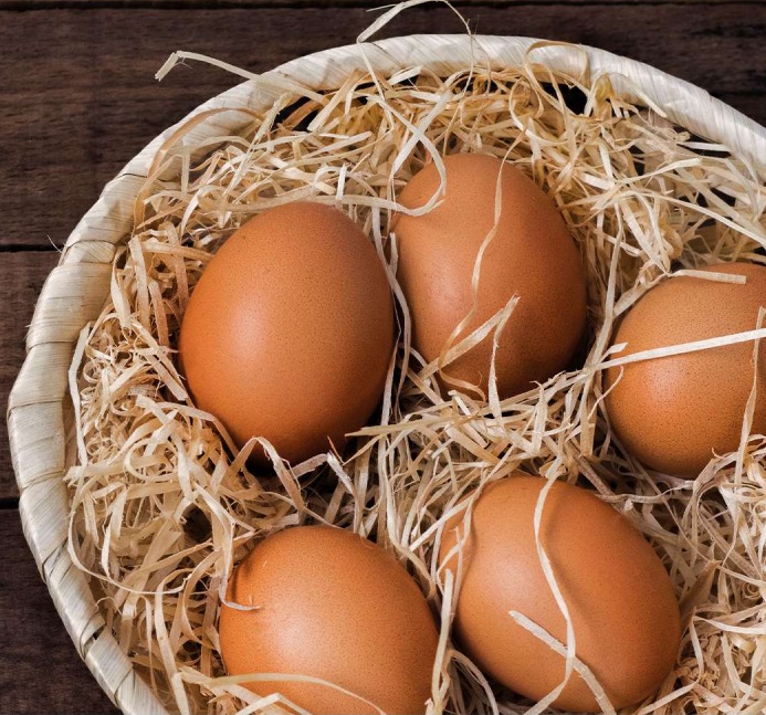 PRODUCCIÓN DE HUEVO ORGÁNICO