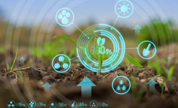 USO DE LA INTELIGENCIA ARTIFICIAL EN LA AGRICULTURA