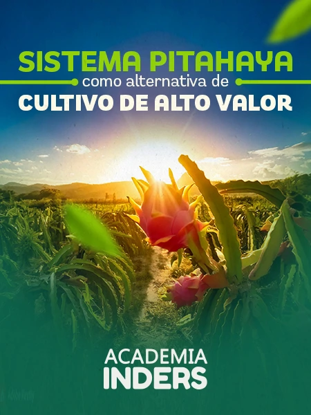 Sistema pitahaya como alternativa de cultivo de alto valor