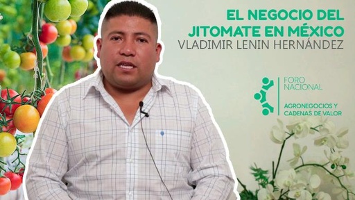 El Negocio Del Jitomate En México