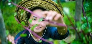 Cómo Gestionar Proyectos Productivos Ante El INPI (Instituto Nacional De Los Pueblos Indígenas)