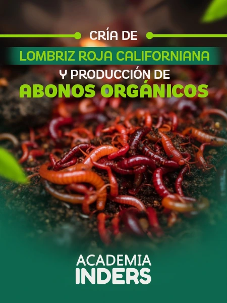 Cría De Lombriz Roja Californiana Y Producción De Abonos Orgánicos