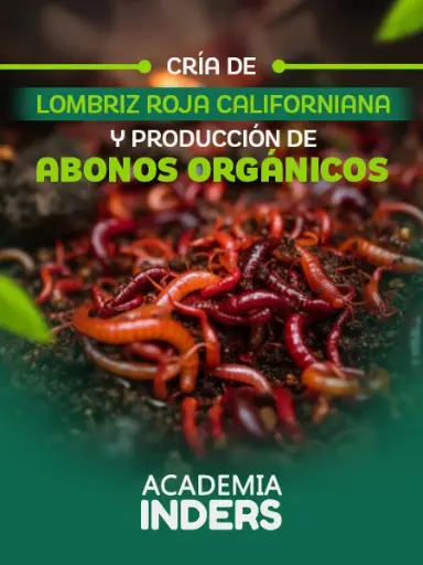 Cría de lombriz roja californiana y producción de abonos orgánicos