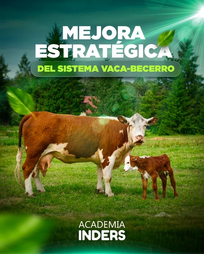 Mejora Estratégica Del Sistema Vaca-Becerro