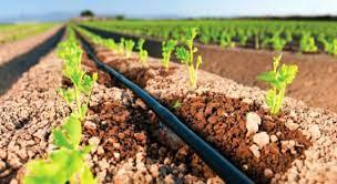 Componentes Estratégicos En Sistemas De Riego