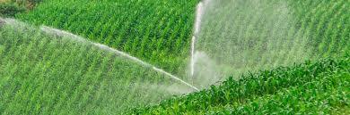 Sistemas De Riego: Consideraciones Para Su Diseño Hidráulico | Seminario Web | Dr. Víctor Prado