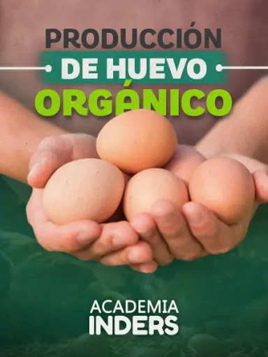 PRODUCCIÓN DE HUEVO ORGÁNICO