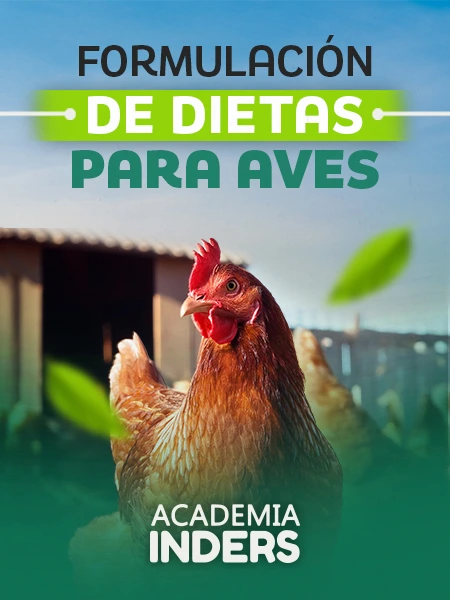 FORMULACIÓN DE DIETAS PARA AVES