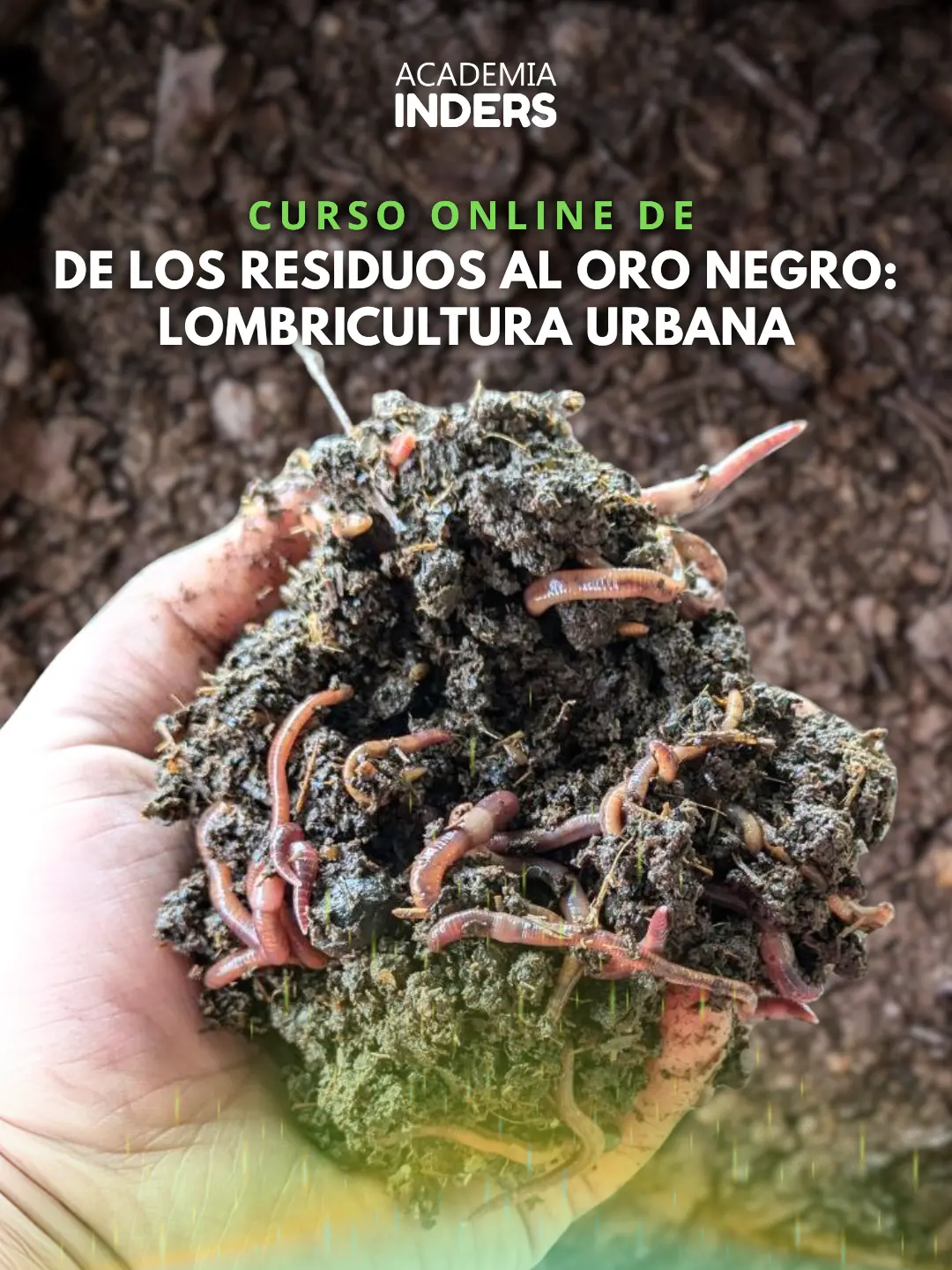 De Los Residuos Al Oro Negro: Lombricultura Urbana