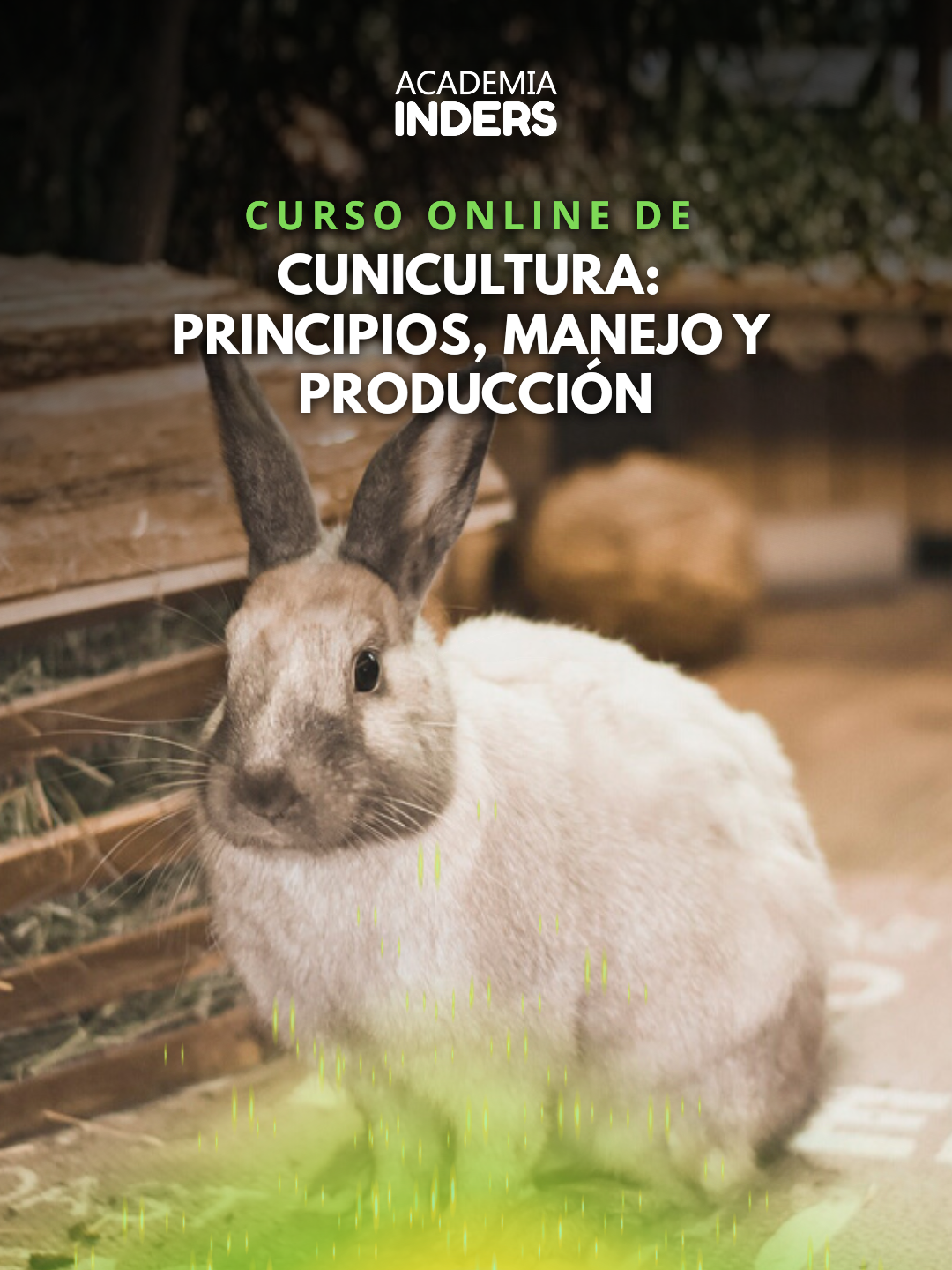 Cunicultura: Principios, Manejo y Producción
